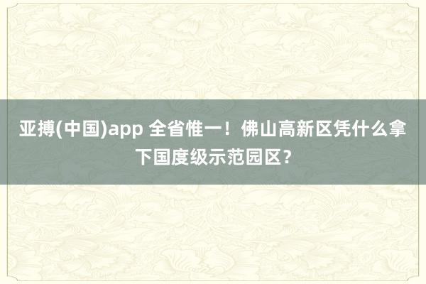 亚搏(中国)app 全省惟一！佛山高新区凭什么拿下国度级示范园区？