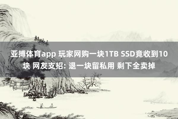 亚搏体育app 玩家网购一块1TB SSD竟收到10块 网友支招: 退一块留私用 剩下全卖掉