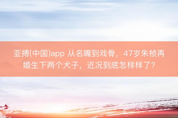 亚搏(中国)app 从名嘴到戏骨，47岁朱桢再婚生下两个犬子，近况到底怎样样了?
