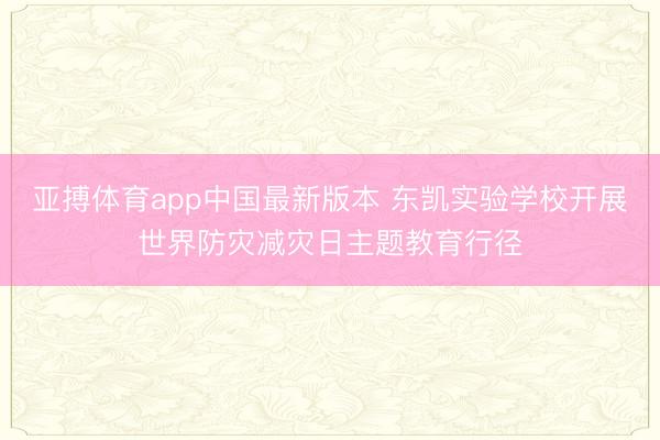 亚搏体育app中国最新版本 东凯实验学校开展世界防灾减灾日主题教育行径