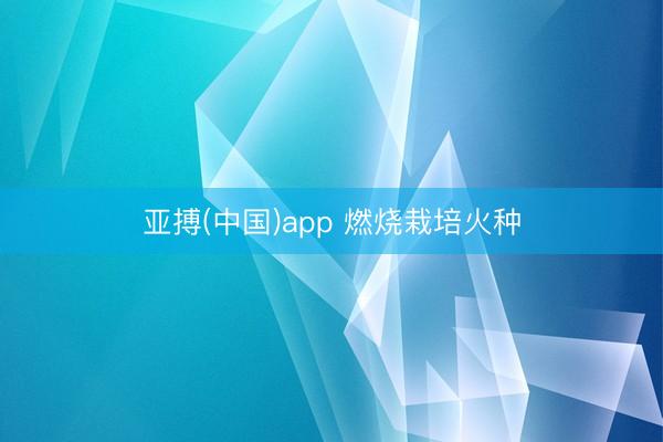 亚搏(中国)app 燃烧栽培火种
