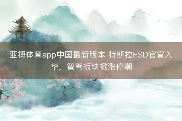 亚搏体育app中国最新版本 特斯拉FSD官宣入华，智驾板块掀涨停潮