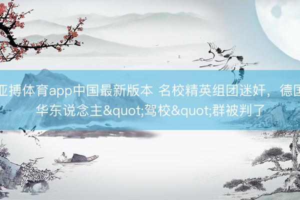 亚搏体育app中国最新版本 名校精英组团迷奸，德国华东说念主"驾校"群被判了