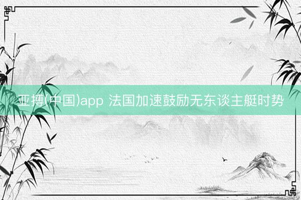 亚搏(中国)app 法国加速鼓励无东谈主艇时势