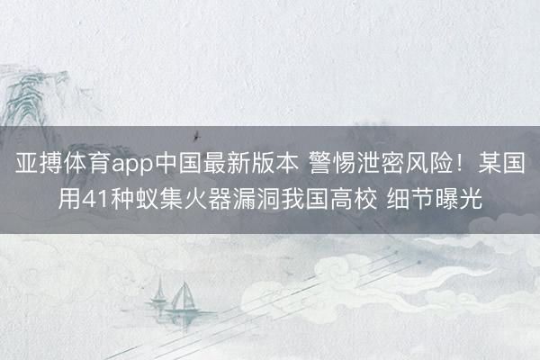 亚搏体育app中国最新版本 警惕泄密风险！某国用41种蚁集火器漏洞我国高校 细节曝光