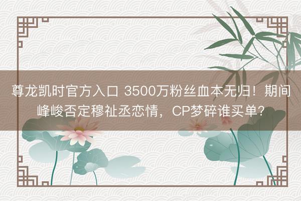 品牌动态