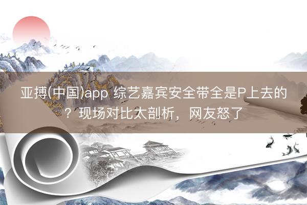 亚搏(中国)app 综艺嘉宾安全带全是P上去的?现场对比太剖析,网友怒了