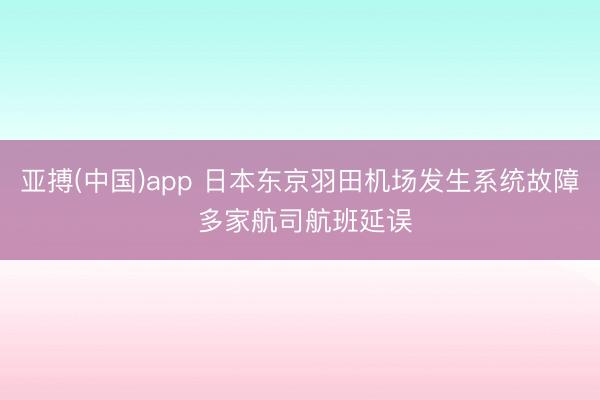 亚搏(中国)app 日本东京羽田机场发生系统故障 多家航司航班延误