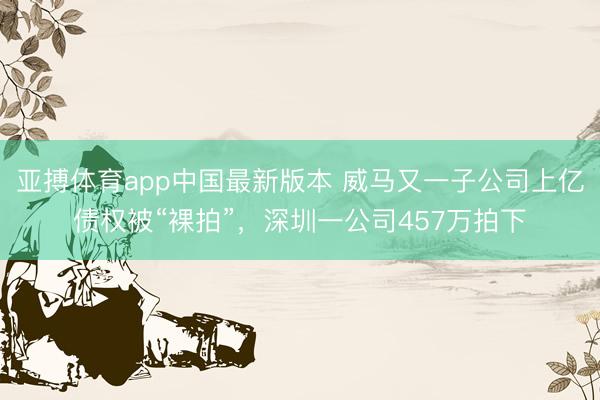 亚搏体育app中国最新版本 威马又一子公司上亿债权被“裸拍”，深圳一公司457万拍下