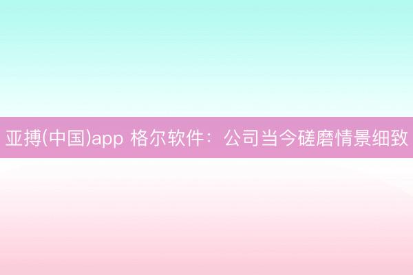 亚搏(中国)app 格尔软件：公司当今磋磨情景细致
